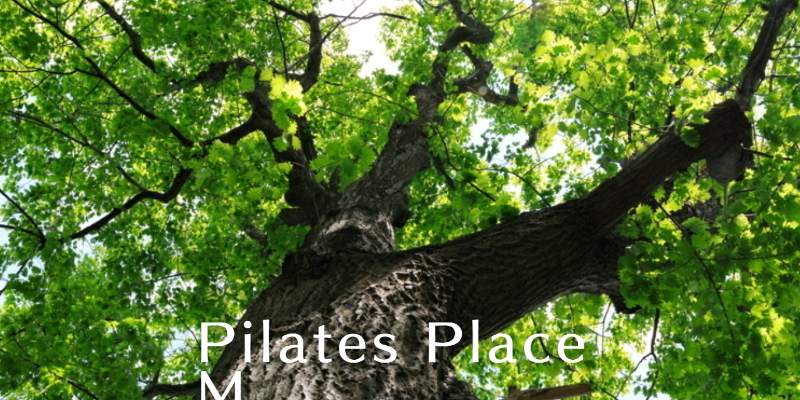 Pilates Place M